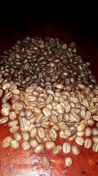 Kaffeereisen-Panama-007