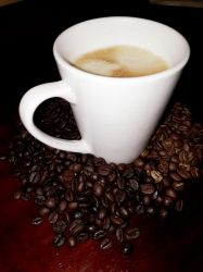 Kaffeereisen-Panama-008